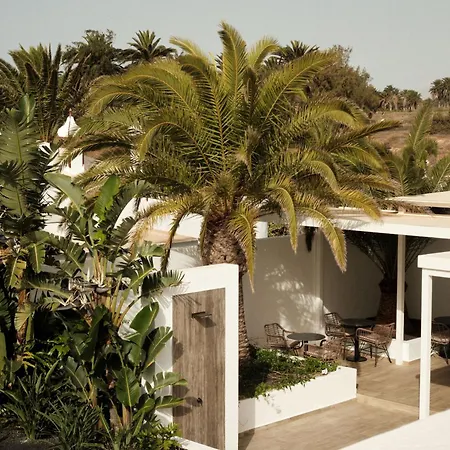 Alava Appartement Costa Teguise